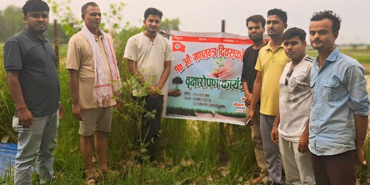 ने.बि संघ  सिरहा द्वारा  १७ औं गणतन्त्र दिवस को अवसरमा बृक्षारोपण कार्यक्रम सम्पन्न