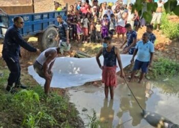 सिरहाको गोलबजार खेतमा जमेको पानीमा डुबेको अवस्थामा एक पुरुषको शव फेला