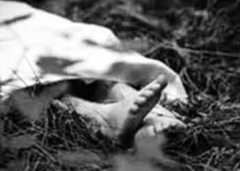 छोराले हानेको ढुङ्गाले लागेर बाबुको मृत्यु